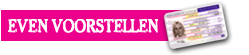 voorstellen